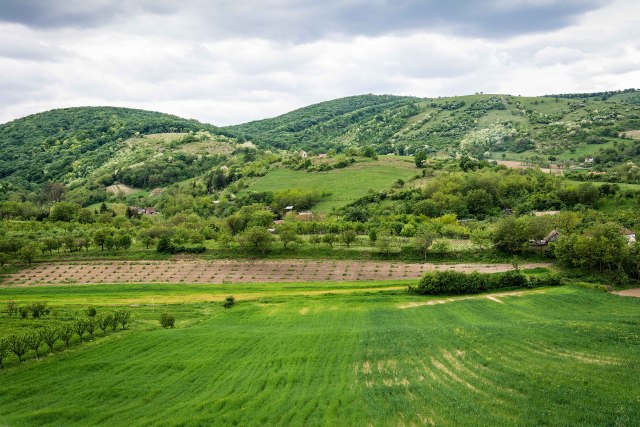 Fruška gora – sve čari na jednom mestu